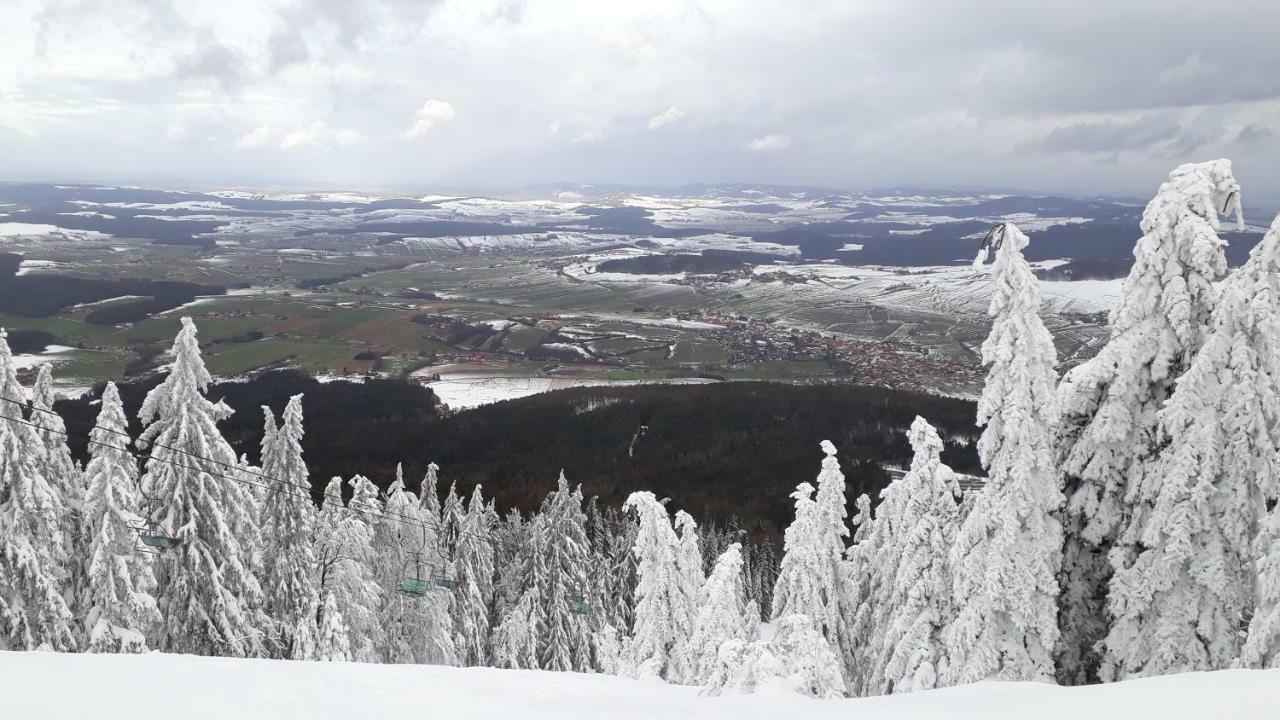 Ubytovani Ronsperk Pobezovice ภายนอก รูปภาพ
